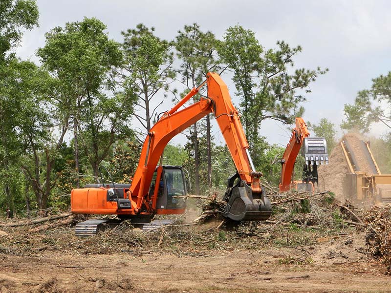 land clearing and landfill